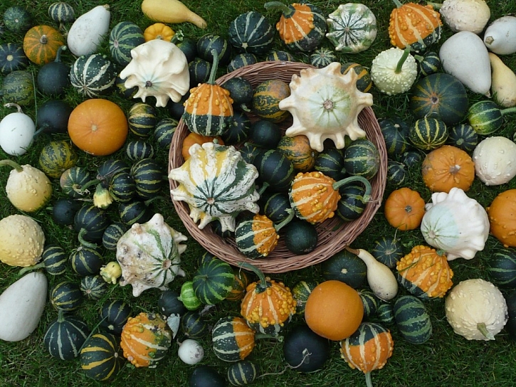 Dýně nejen jako strašidla – fotogalerie podzimní dekorace