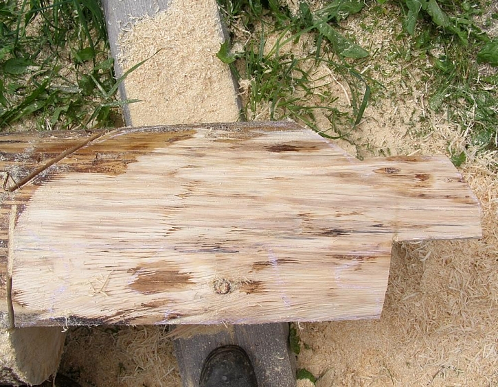 Socha ze dřeva: želva