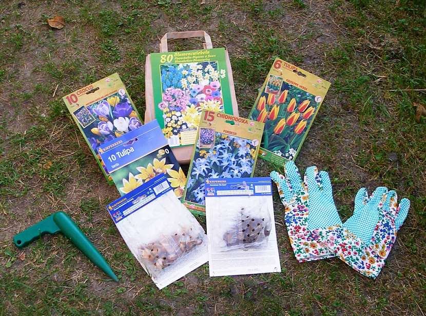 Lopatka Fiskars tak akorát na cibuloviny aneb krásné tulipány