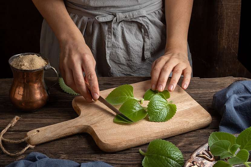 Příprava na sirup z chřipkovníku, tedy krájení listů