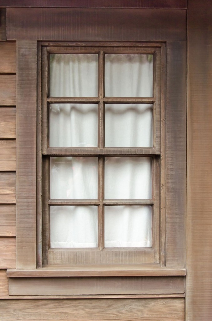 Dřevěná okna skýtají milou klasiku, plastová jsou praktičtější