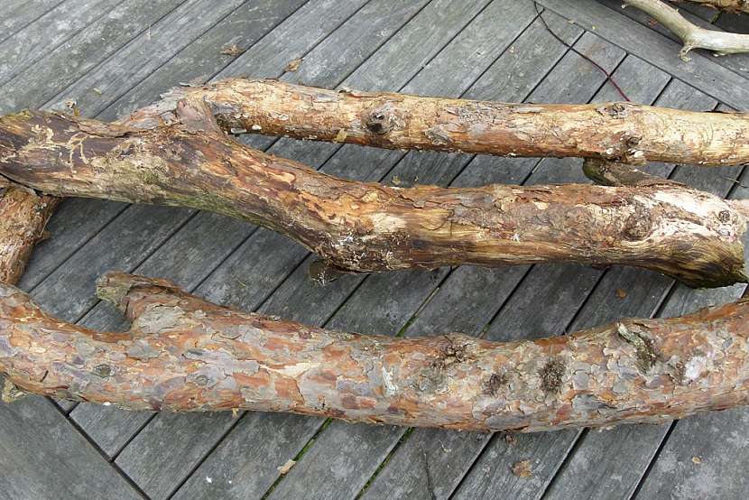 Knoflíkový věnec pro štěstí, s vůní borového dřeva 1