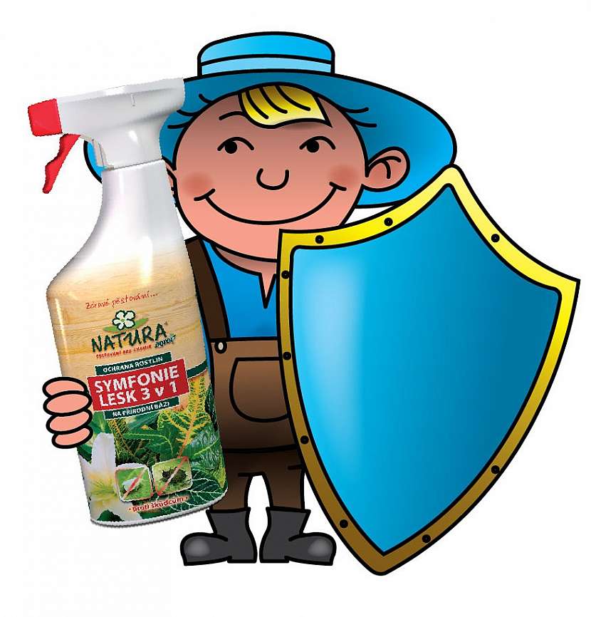 Přírodní ochrana pokojových rostlin se vyplatí