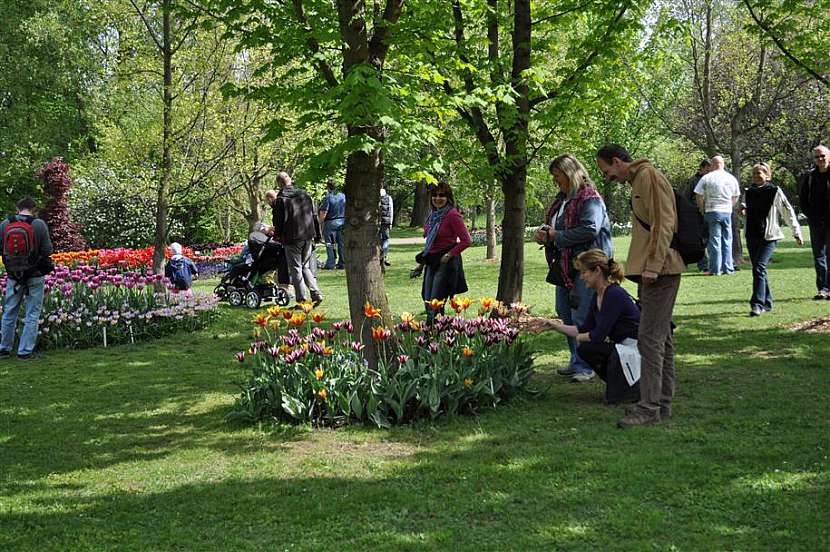 Kam na výlet: Volné dny zvou všechny milovníky květin na návštěvu tradičních výstav a akcí
