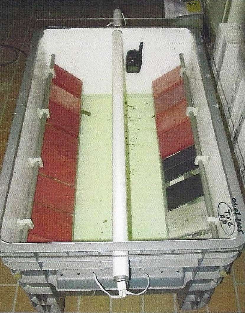 Jak test vypadal