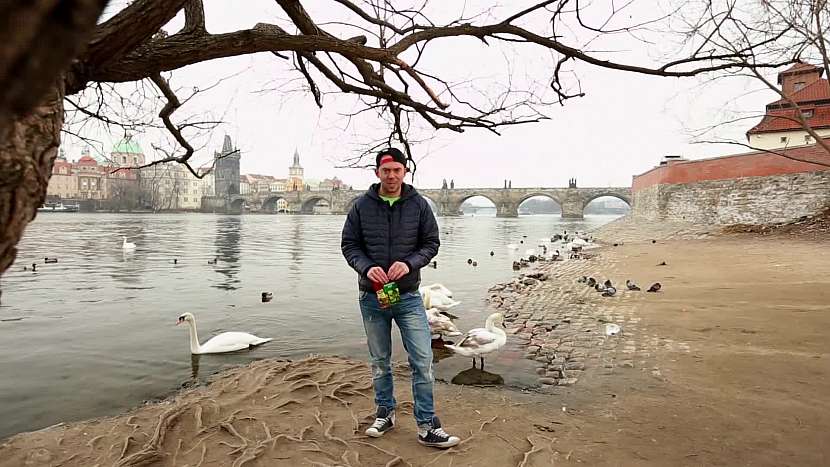 Jak pěkně rychle zatočit s nezvanými hosty aneb přírodní odpuzovač hmyzu