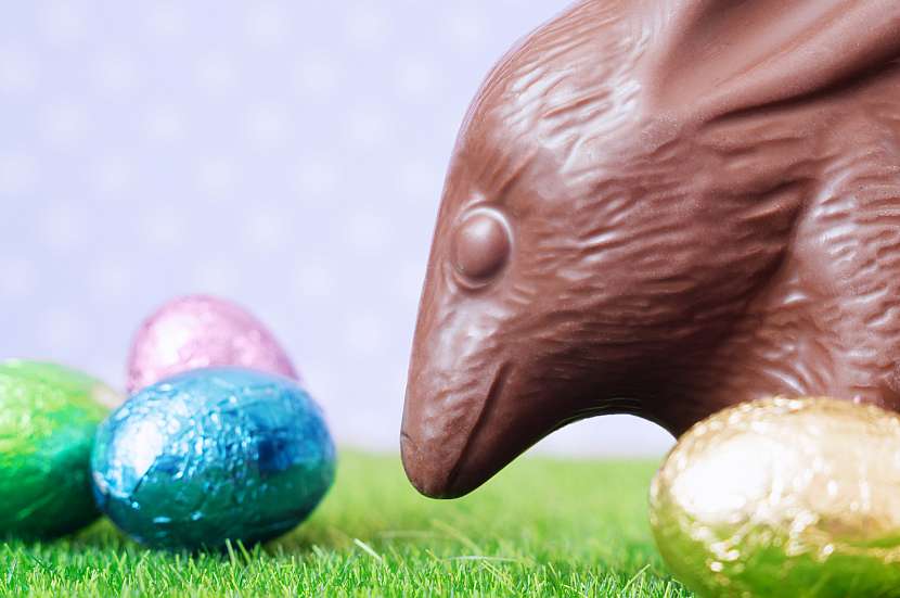 Velký bilby