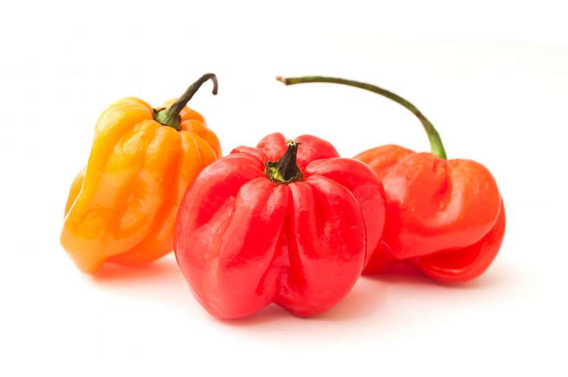 Habanero