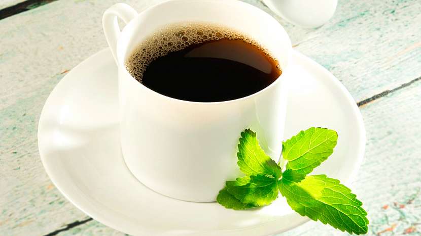 Lístky stévie sladké (Stevia rebaudiana) osladí každý nápoj