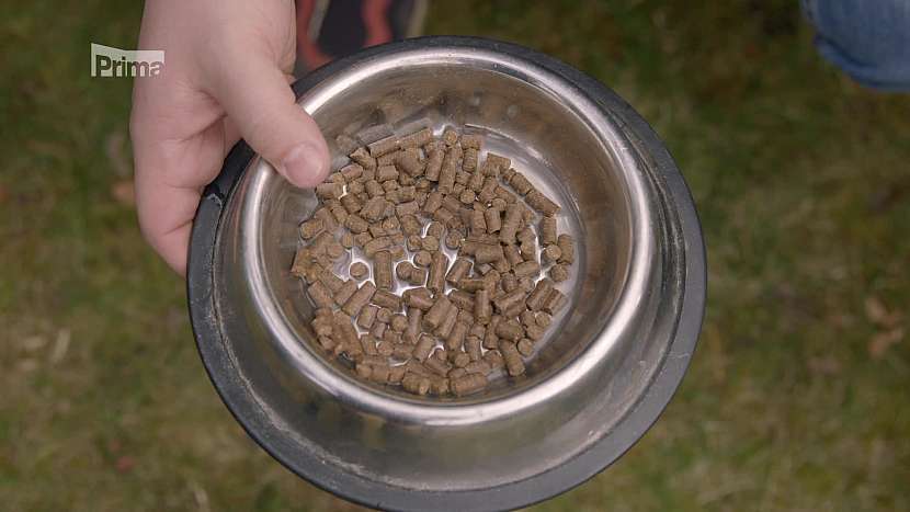 Granule