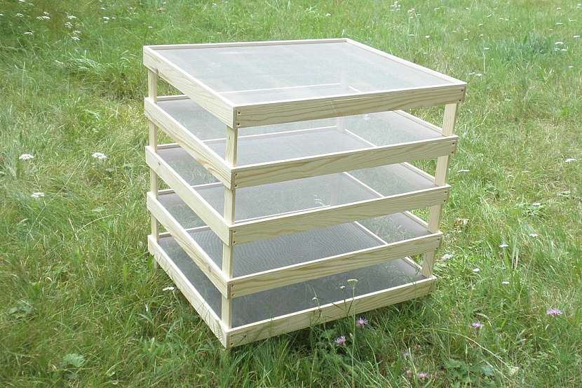 Nejlepší nápady pro nadšené houbaře 8