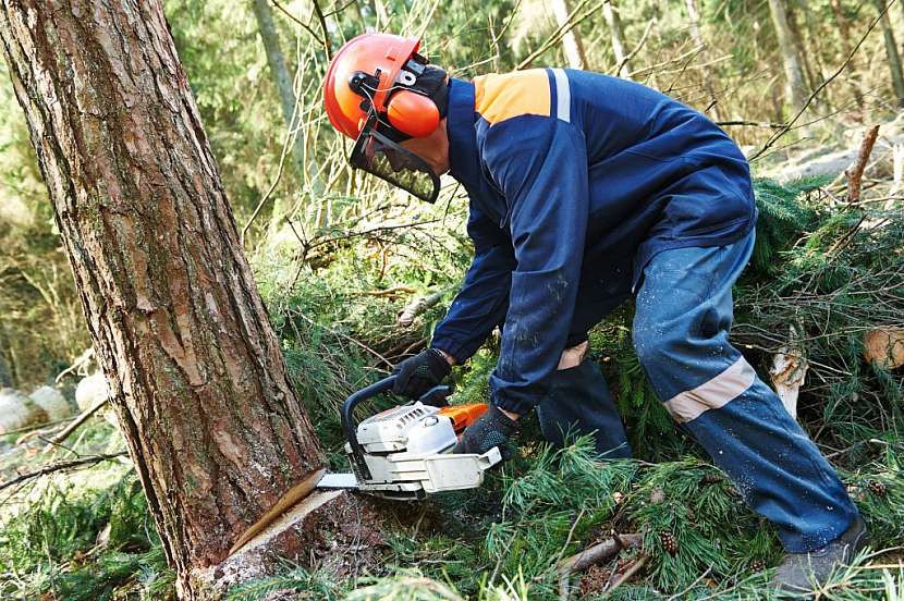Dřevorubci často sáhnou hlouběji do kapsy a pořídí si kvalitní oblečení