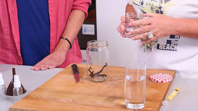 DIY domácí parfém: vanilkový lusk zalijeme alkoholem