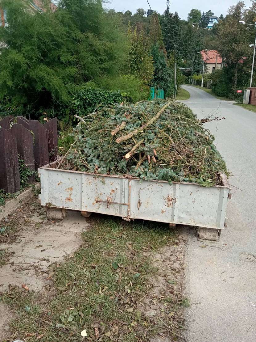 Rostlinný odpad