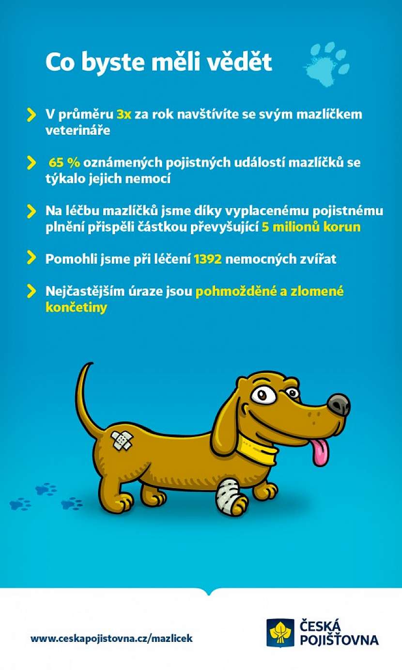 Pojištění pro zvířata i na cestách do zahraničí