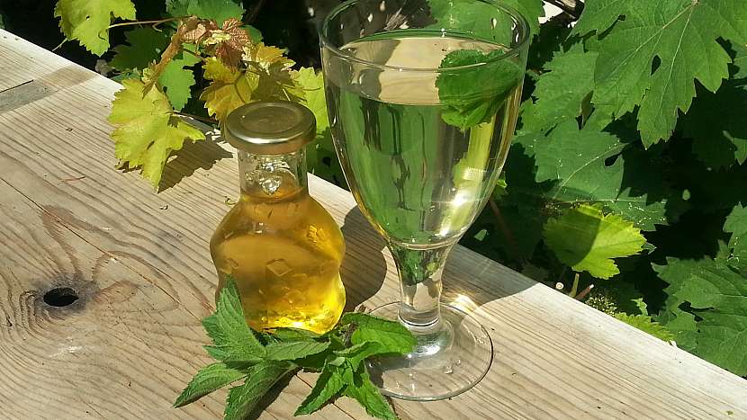 Domácí mátový sirup: ideální na ochucení nápojů nealkoholických i alkoholických