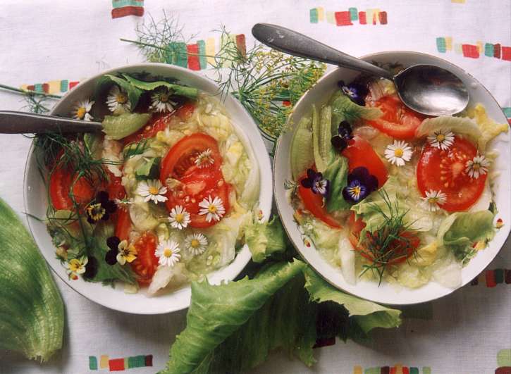 Čerstvými bylinkami ochutíte třeba salát nebo jiné pokrmy