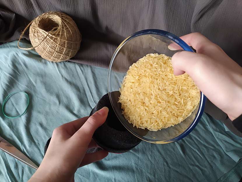Rýže