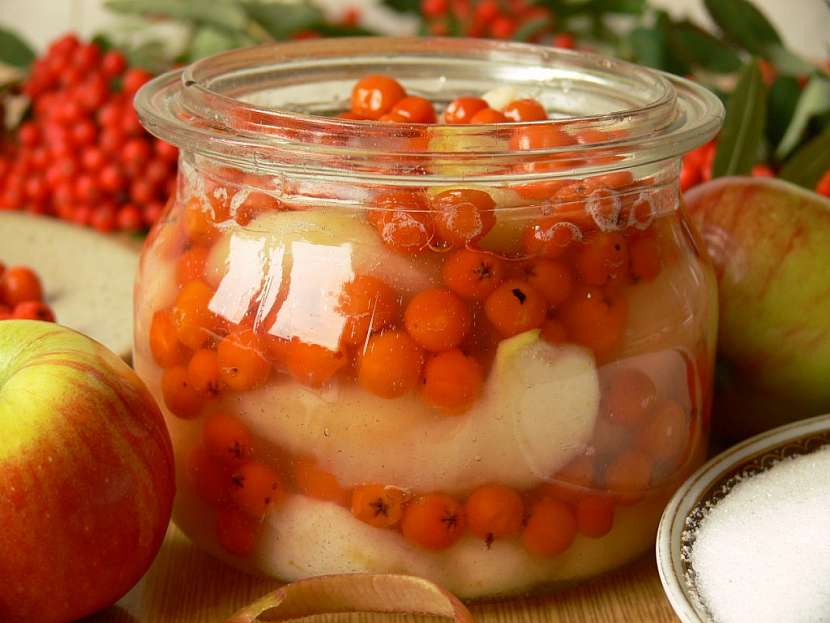 Recept na kompot, džem a víno z jeřabin