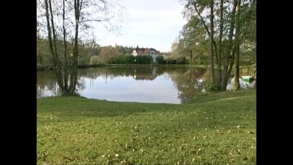 Obnova rybníku