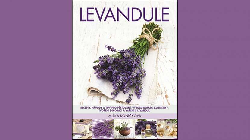 kniha Levandule