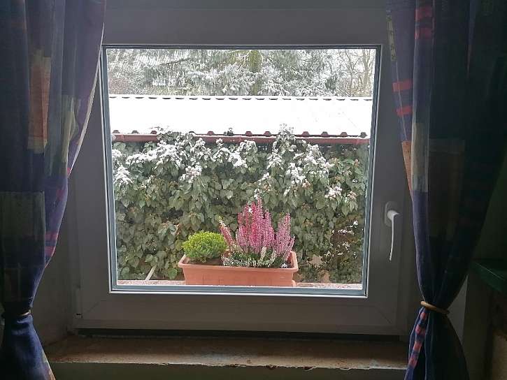 Pohled z okna do zimní zahrady
