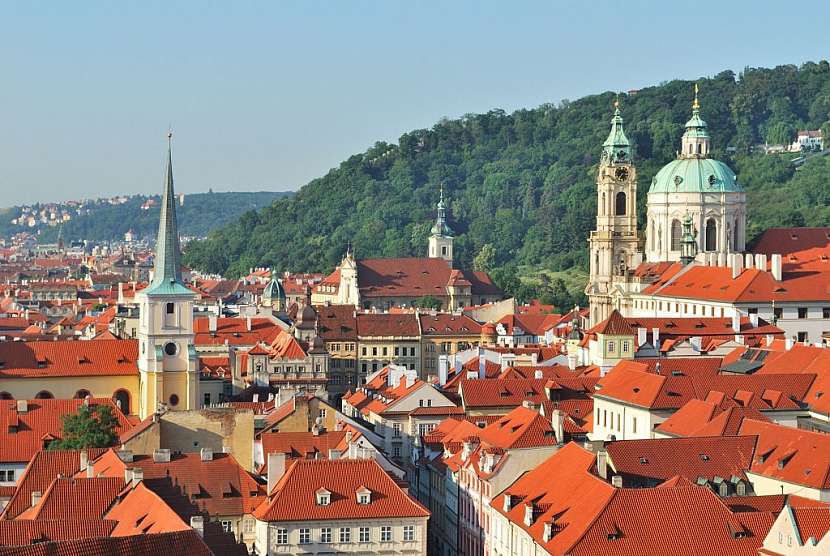 Bobrovka zdobí velmi často budovy v historických centrech měst