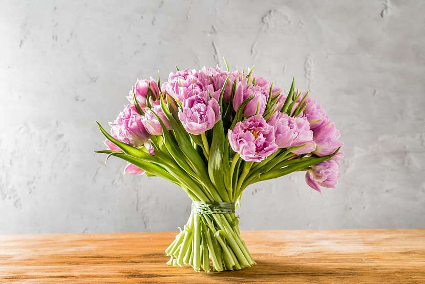 Tulipány
