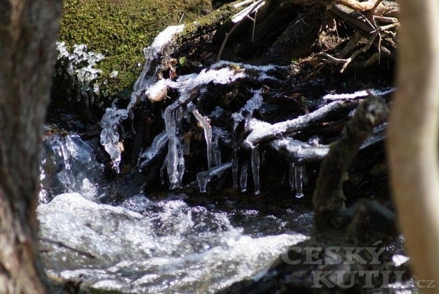 Tip na jarní výlet do údolí Chlébského potoka za sněženkami