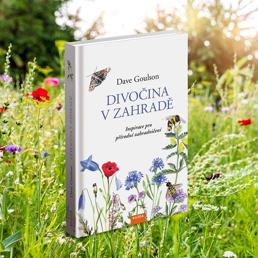 Image2_FB_Divocina v zahrade_nahled
