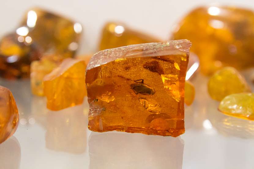 Jantar má kromě obliby u šperkařů také velký význam pro paleontologii