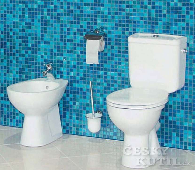 Výměna WC se musí občas provést