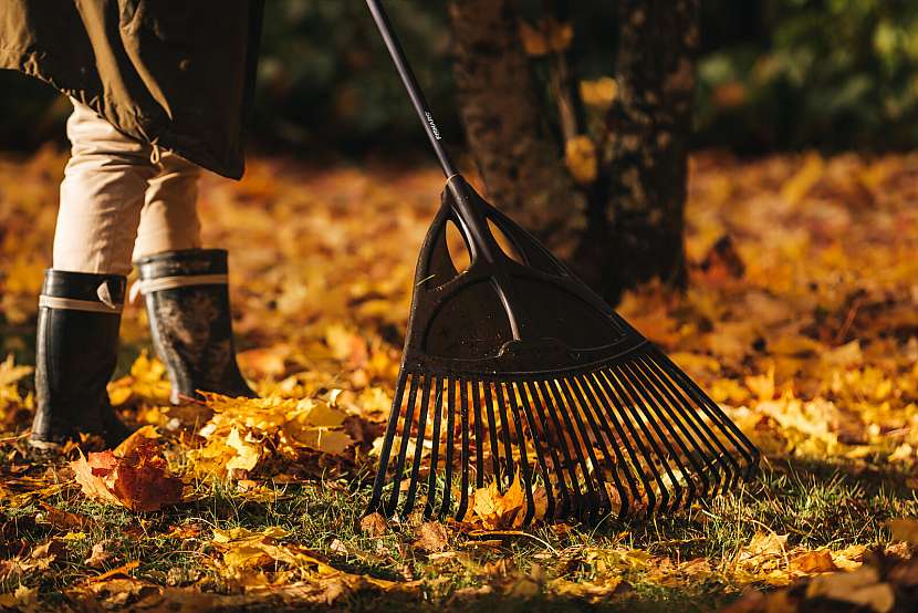 Fiskars_Garden_Action_Solid_Leaf_Rake_XL_1015645_(02)