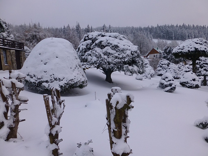 Zima na zahradě