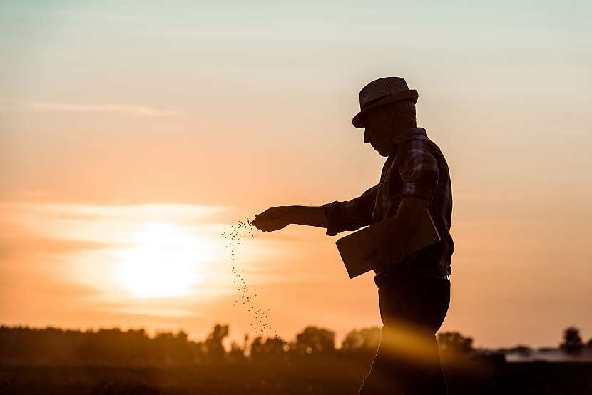 Až 80 % spotřebitelů upřednostňuje regionálnost