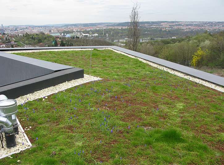 Pěstovat na střešní zahradě pak můžete i keře a stromy, je však třeba zajistit správnou skladbu střechy