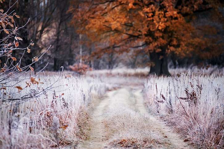 Listopadová krajina má nevšední kouzlo, ale ne vždy platí, že svatý Martin přijede na bílém koni.