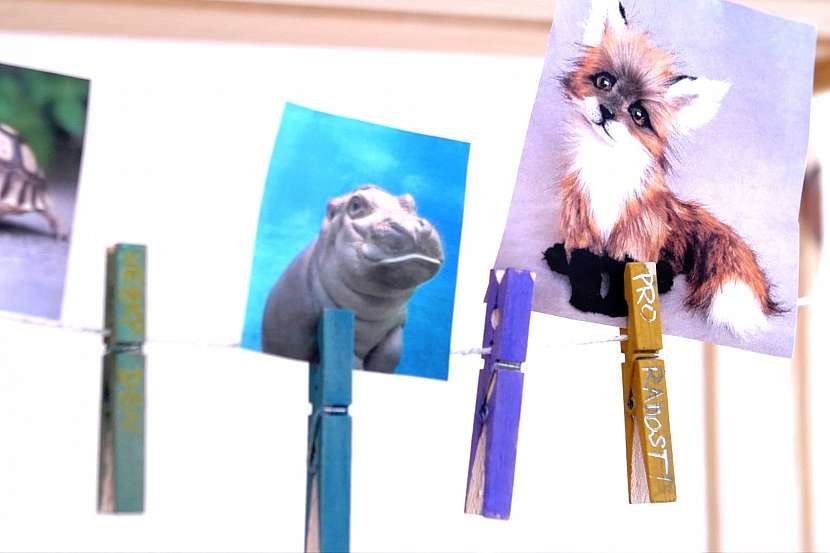 Pověste fotky na šňůru 2