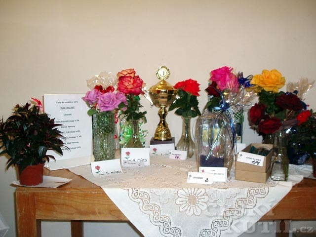Výstava růží a květin na zámku Veltrusy