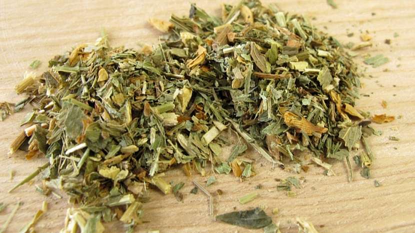 Kručinka barvířská (Genista tinctoria) sušená
