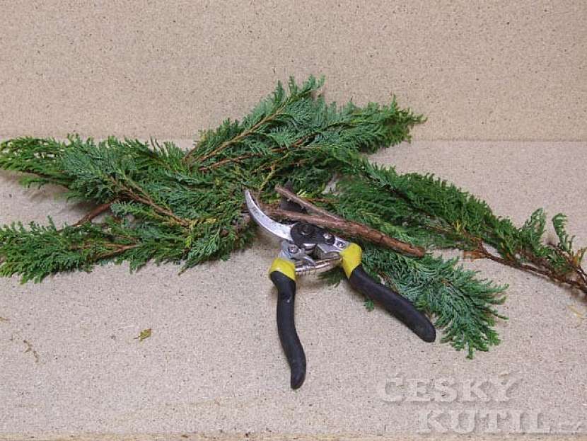 Adventní věnec