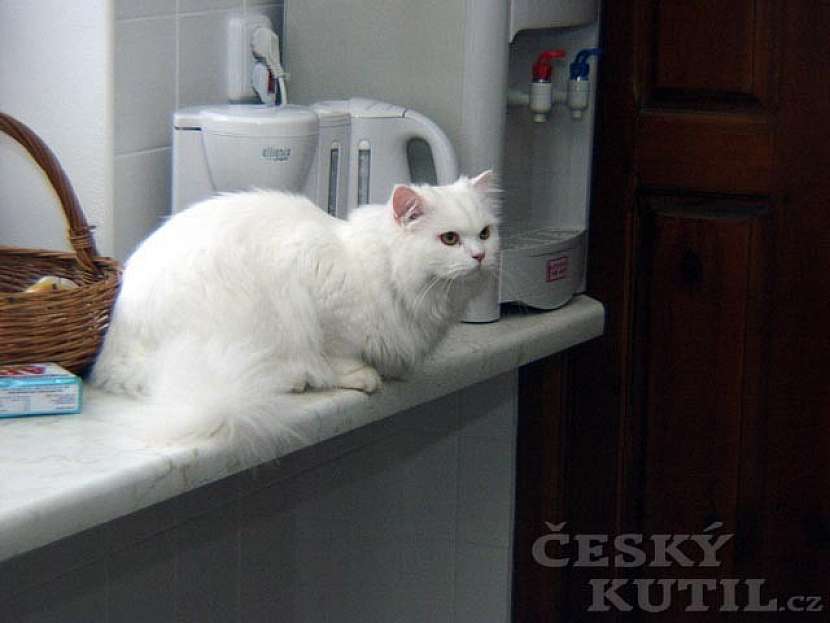 Obytná část