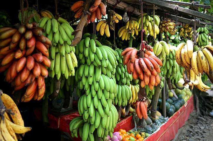 Banánů existuje spoustu druhů, které můžeme využít i v kuchyni (Zdroj: Depositphotos (https://cz.depositphotos.com))