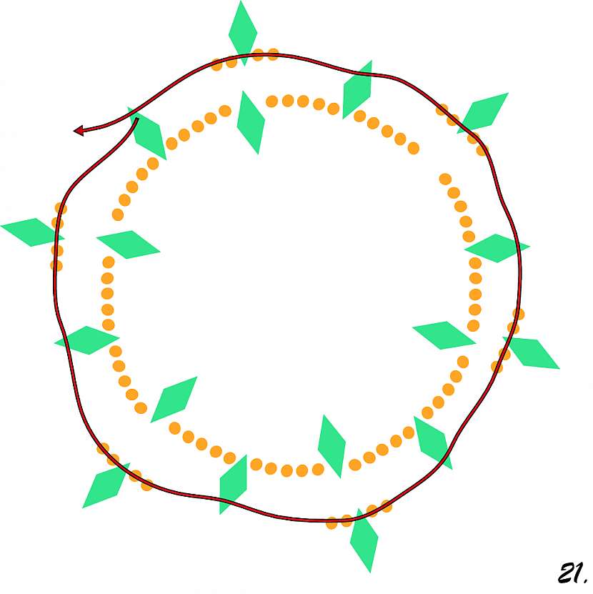 21