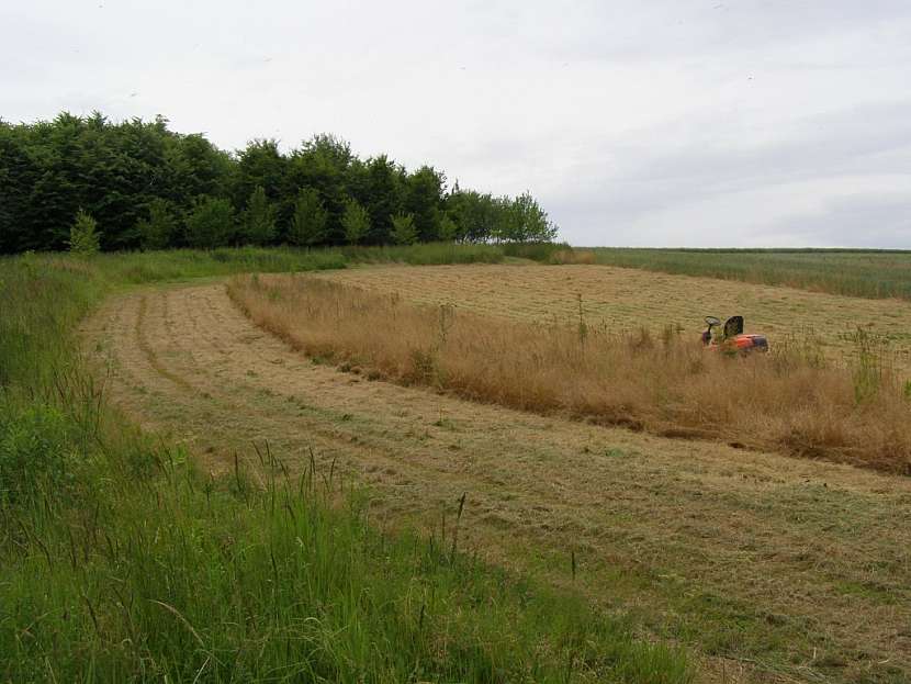 Traktor je výkonným a spolehlivým strojem na opravdu rozsáhlé plochy