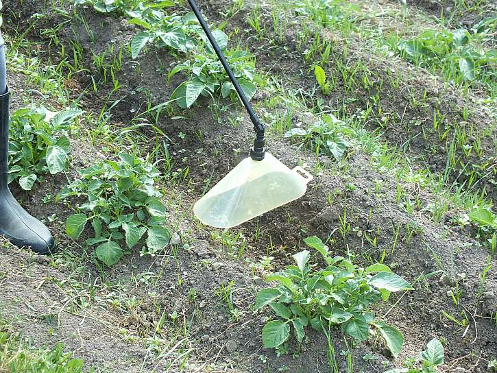 Abychom nezasáhli postřikem i rostliny brambor, použijeme trychtýřový rozprašovač