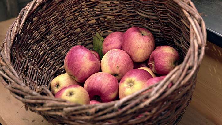 Kontrola skladovaného ovoce a brambor