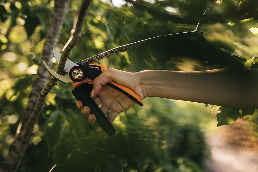 Používejte zahradní nůžky k pravidelnému zastřihování vašich rostlin