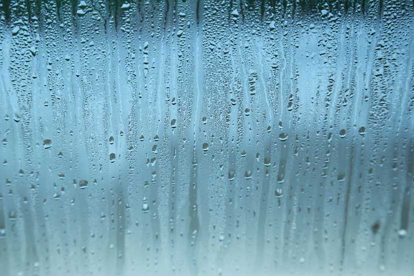 Vlhkost, která se sráží na oknech, může přispět k rozvoji plísní