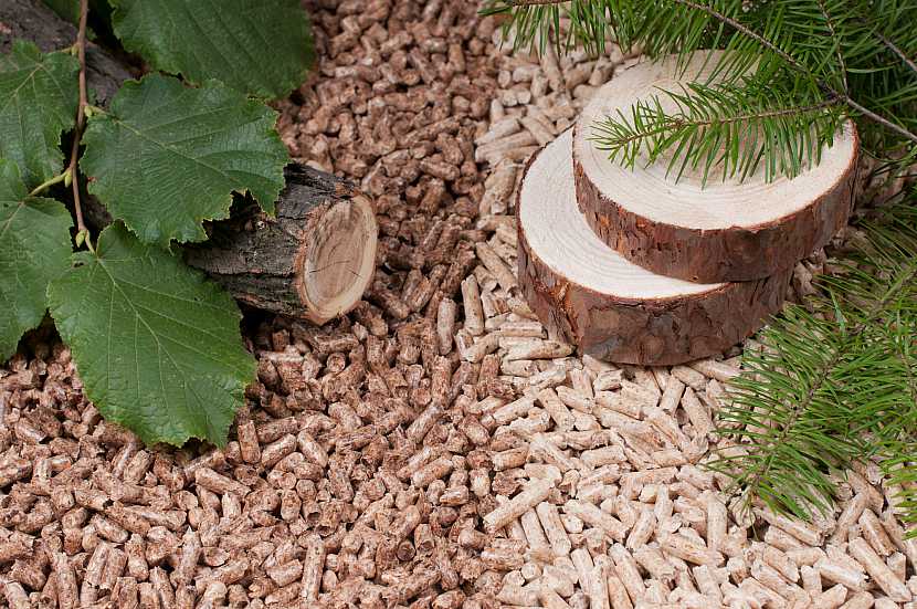 Dřevěné pelety zažívají v Česku boom i v krizi. V pololetí se vyrobilo o 26 % více pelet než loni (Zdroj: Depositphotos)
